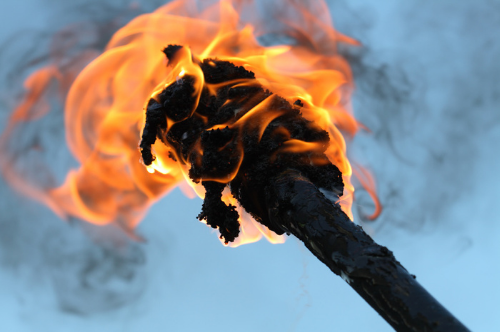 6910flaming_torch.jpg