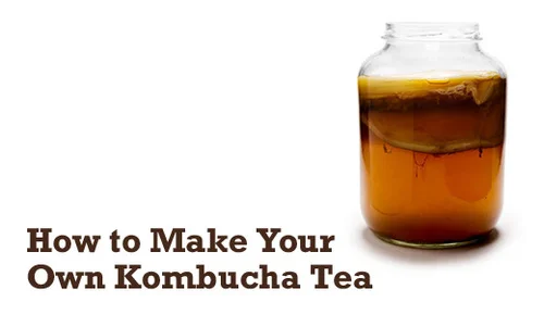 how-to-make-your-own-kombucha-tea-500x301.jpg