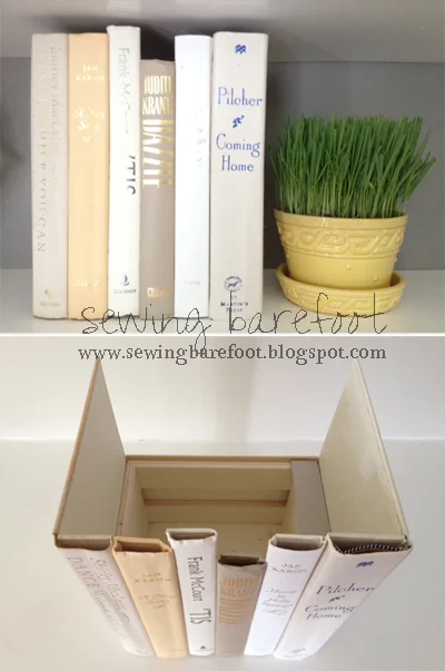 hiddenbooks.jpg
