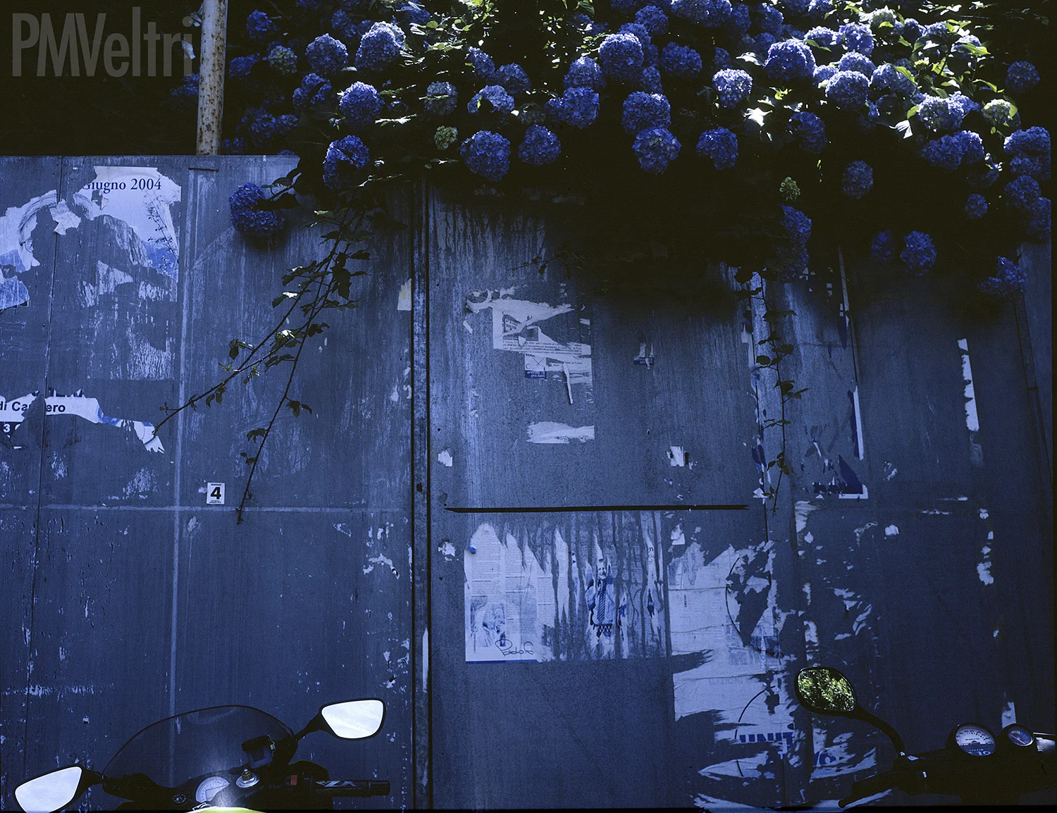 r13_f8.jpg