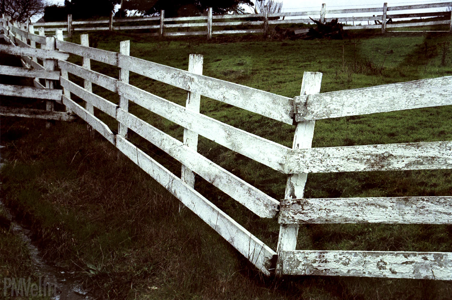 r18-f24A.jpg