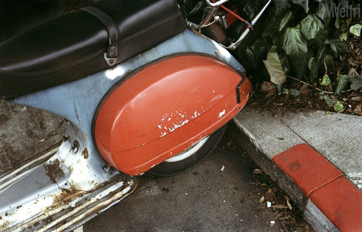 r39-f10.jpg