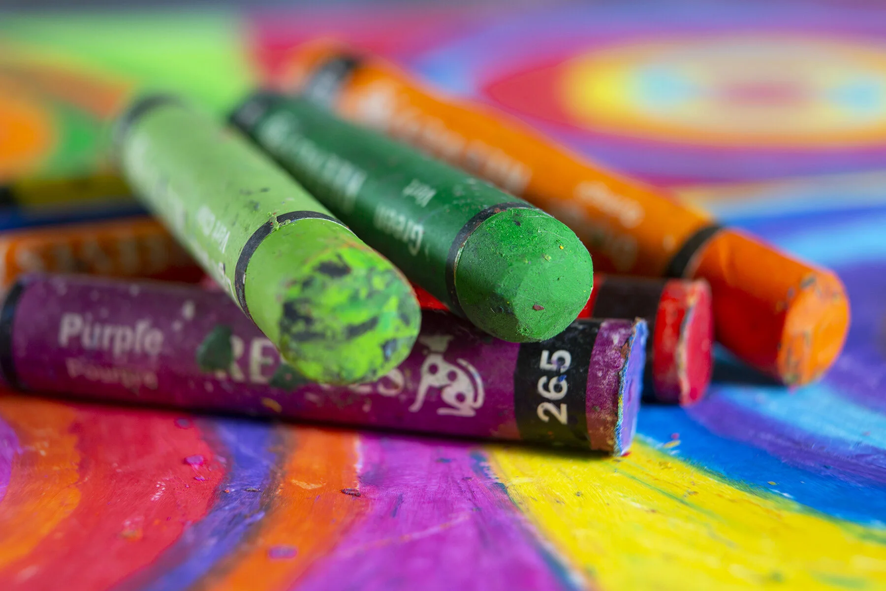 Web Size-1I1C3136.jpg