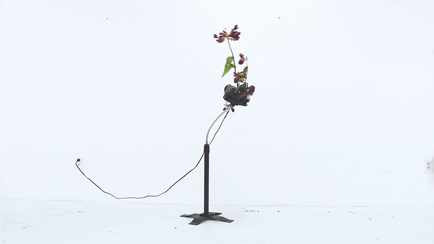 Rachel Youn, Untitled, 2022, shiatsu massager motor, artificial flowers, tablet stand, 147 × 91 × 51 cm. Via Soy Captain LE MILE Magazine reviewed by editor Tagen Donovan
