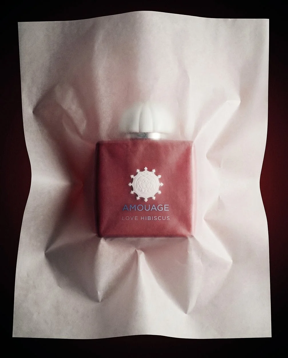 AMOUAGE Love Hibiscus perfume covered featured by LE MILE Magazine
