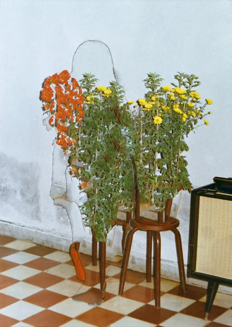 Nhu Xuan Hua, Untitled, Archive from the year 72, 2016-2021 for LE MILE Magazine Galerie Anne-Laure Buffard