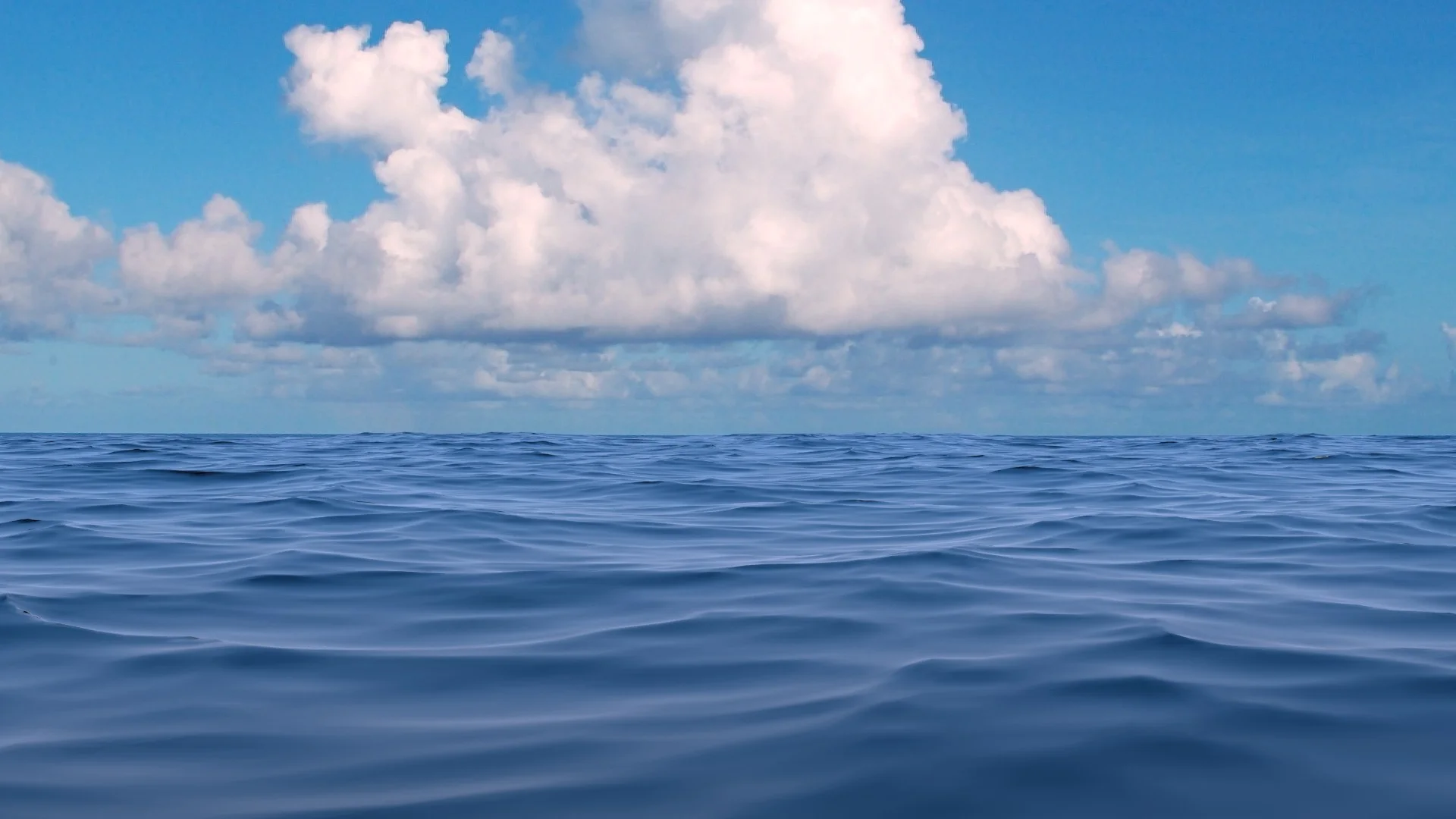 Obligatory Ocean Render