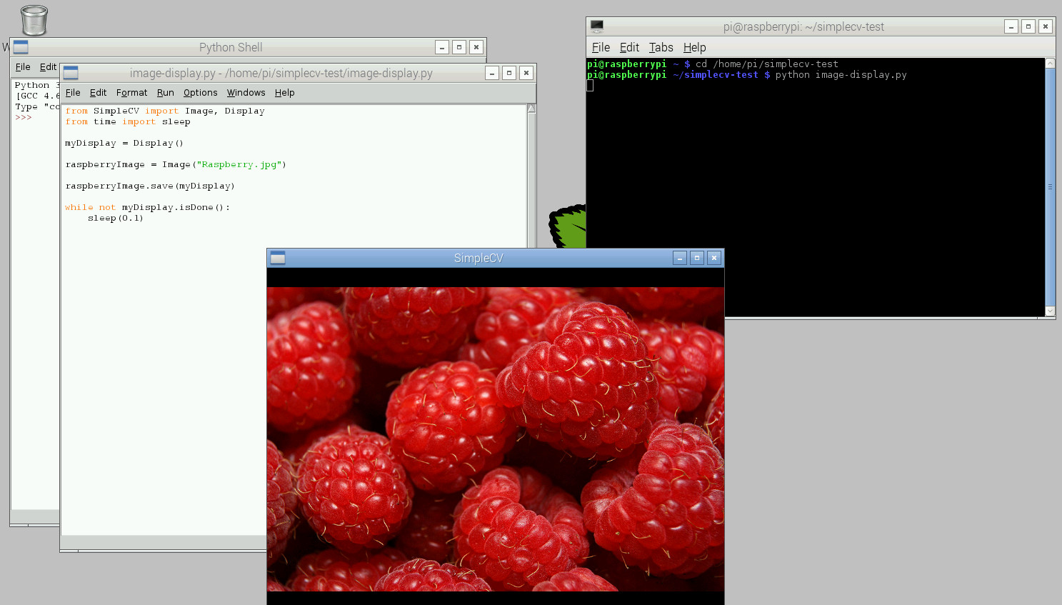 Image displayed with python and simpleCV