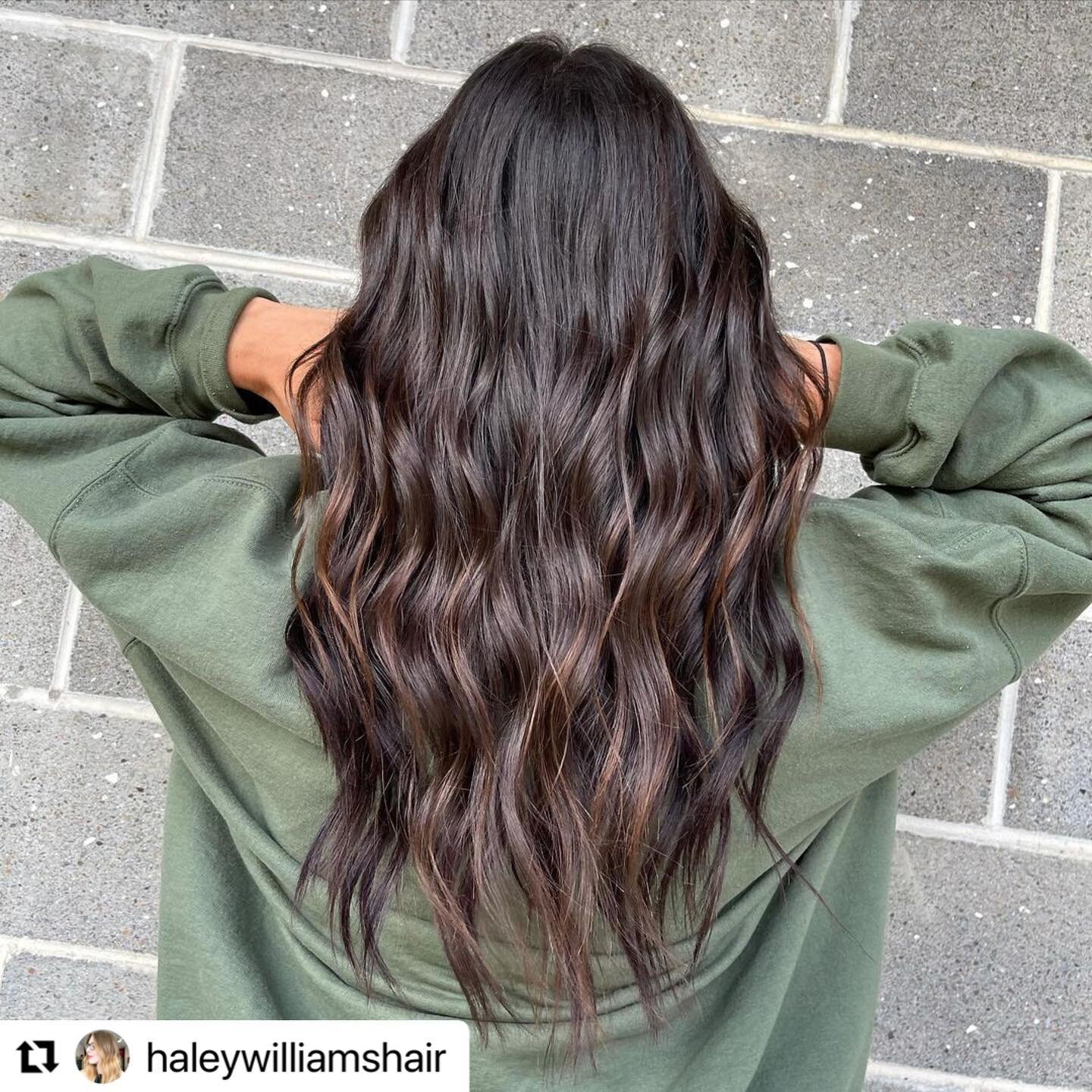 #Repost @haleywilliamshair 
・・・
🤎 d i m e n s i o n a l  b r u n e t t e 🤎 

#davenport#davenporthair#davenportfl#orlandohair#highlights#davenporthairstylist#balayage#highlights#oldsmarhair#paulmitchell#paulmitchellus#paulmitchellpro#davenportblond