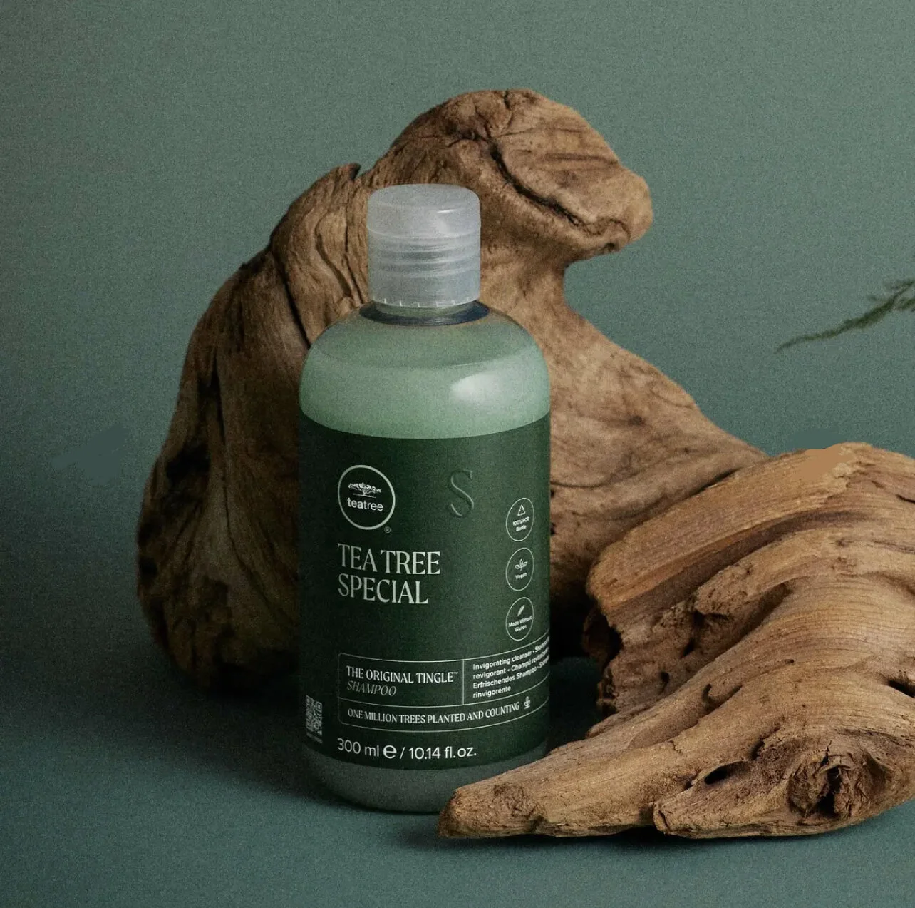 FE53947C-8180-4C09-813C-970ADC1ECA49