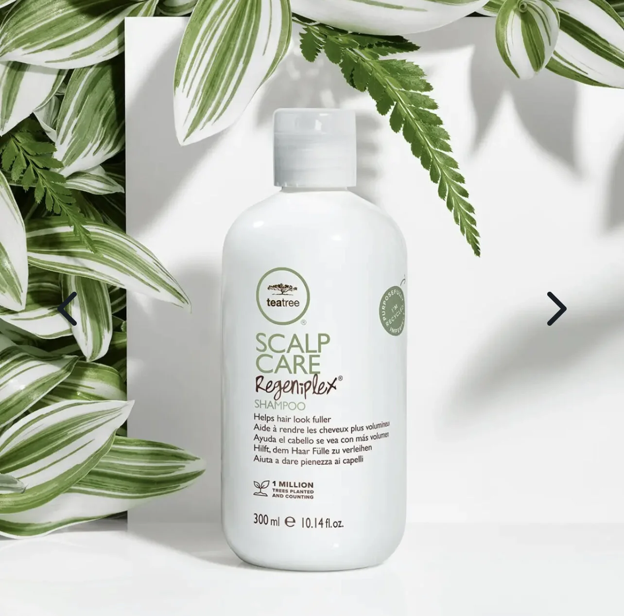 224997FB-6806-42F0-9EA1-B2213EFBE6FE