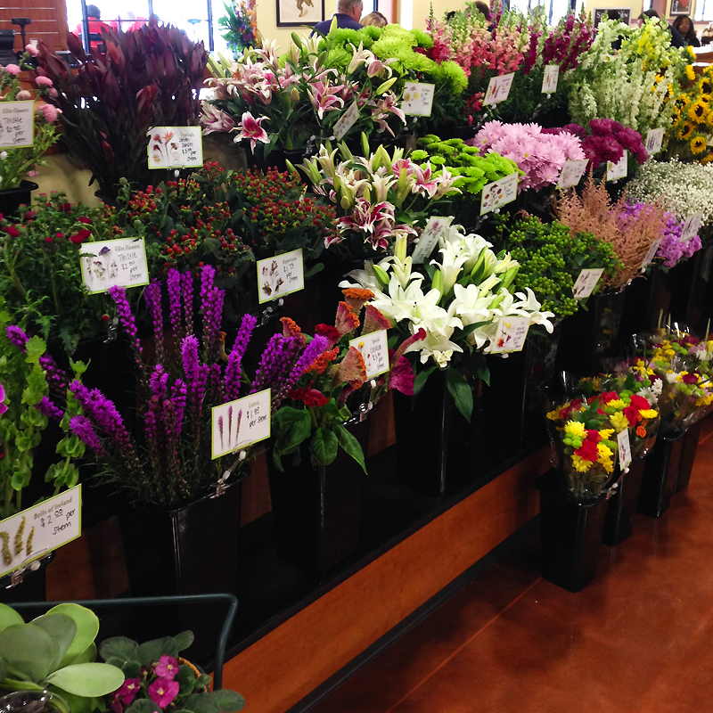 SS_flowers1.png