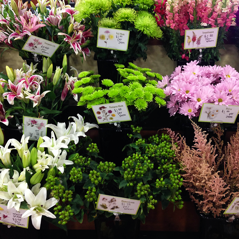 SS_flowers3.png