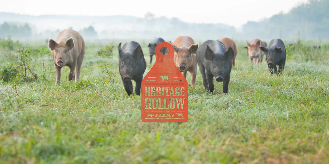 Heritage Hollow Farms
