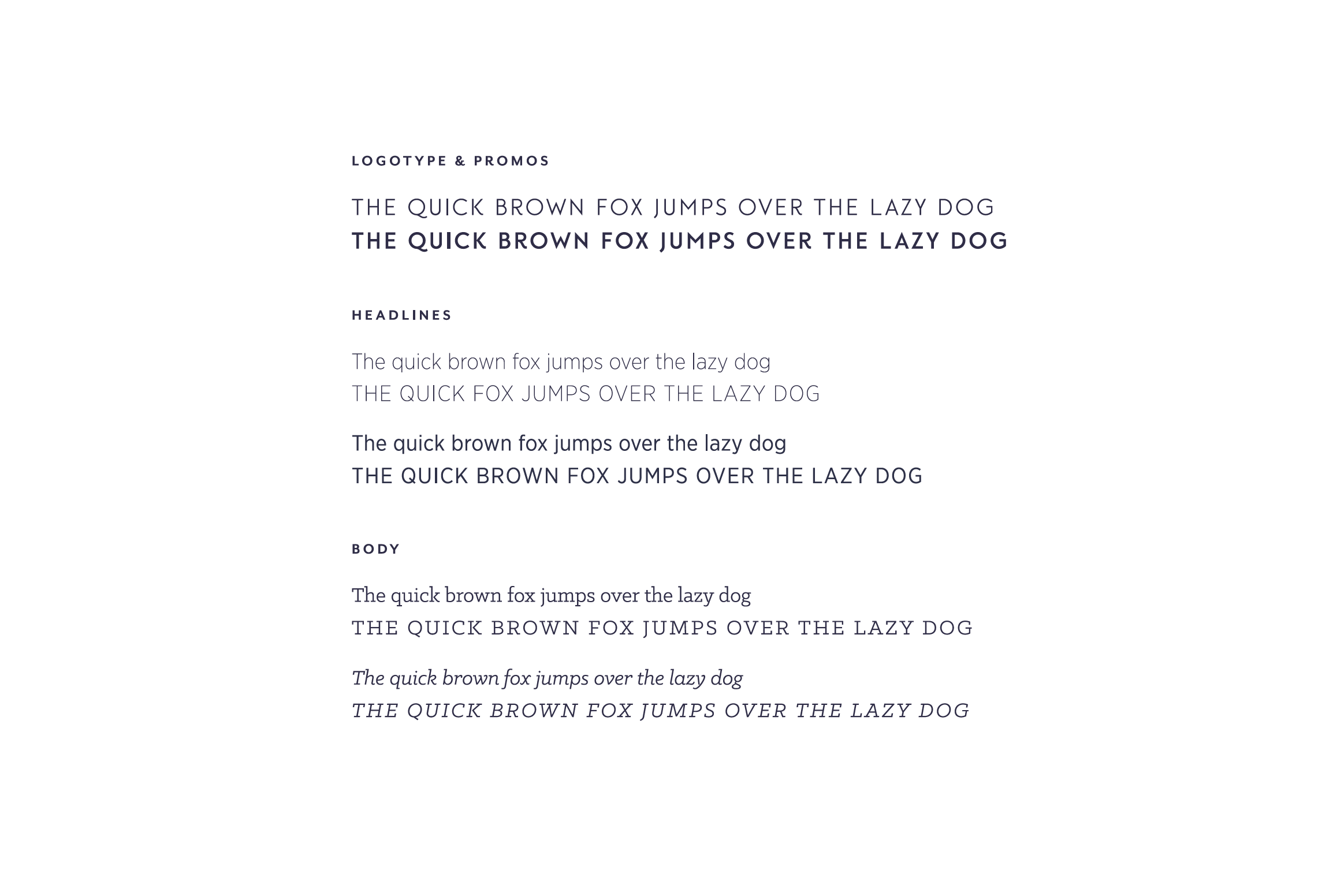  Typography 
