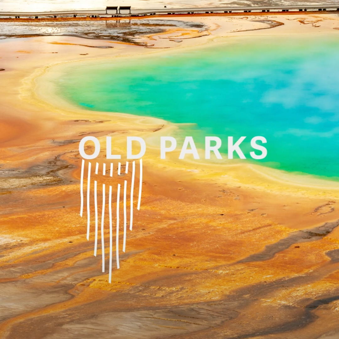 Motion Graphics-Thumbnail.png