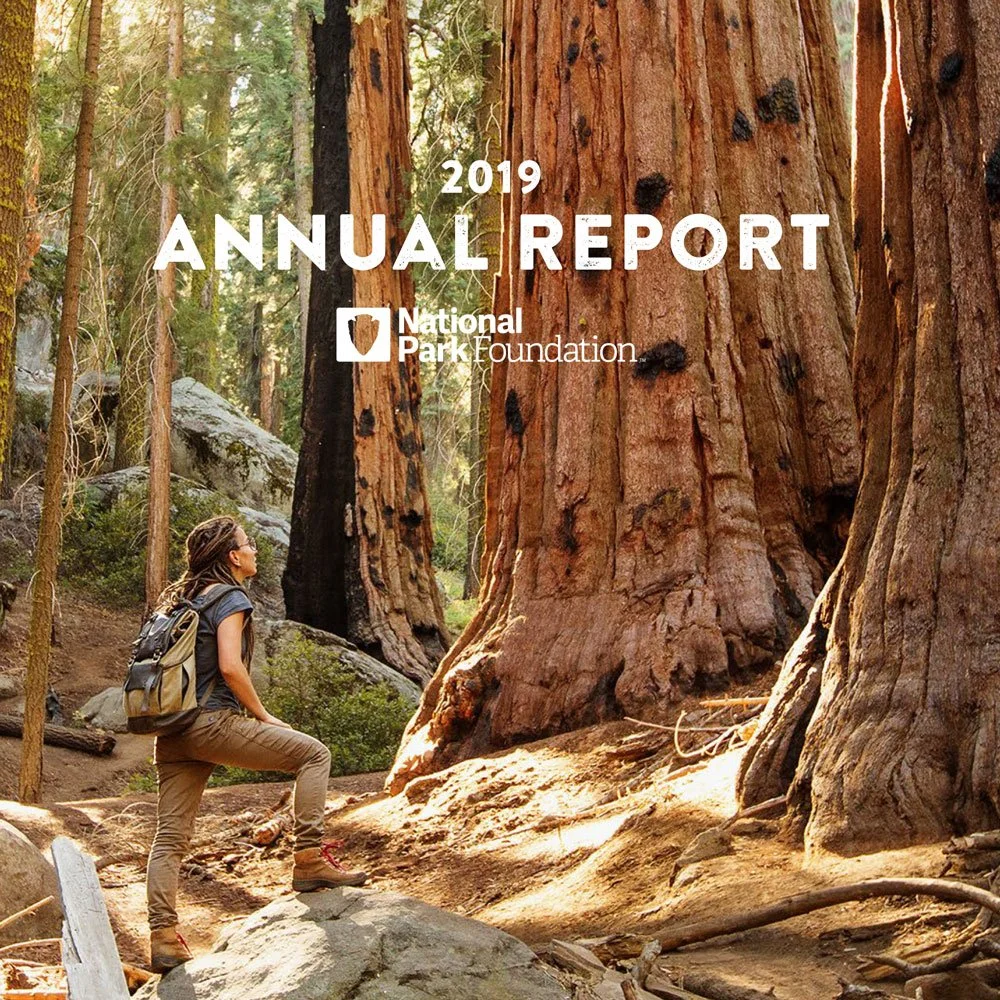 Annual-Report-FY19-Thumbnail.jpg