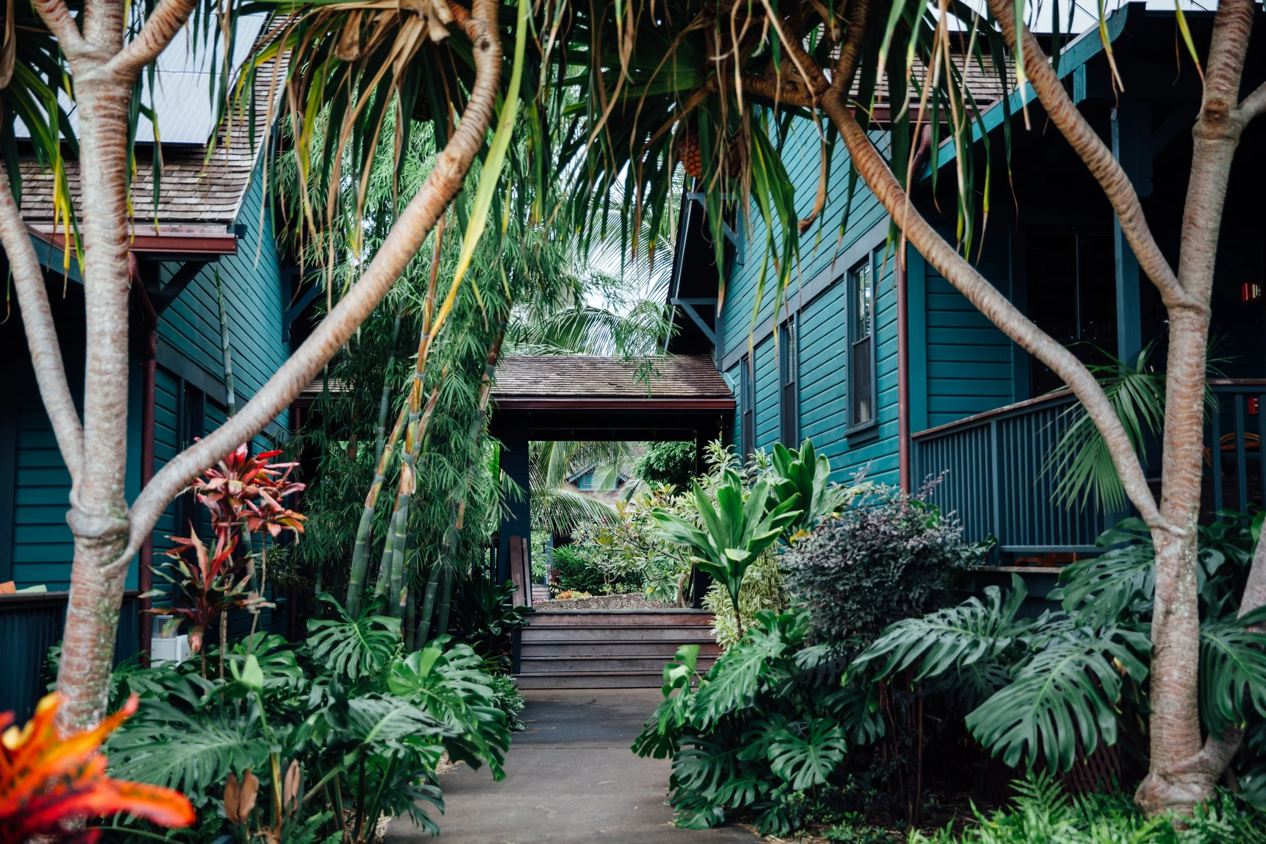 A pathway leading to blue wooden apartment buildings, surrounded by lush tropical plants and trees at Lumeria Hotel Maui travel imagery photographed by Los Angeles based, Maui born photographer and director Bailey Rebecca Roberts