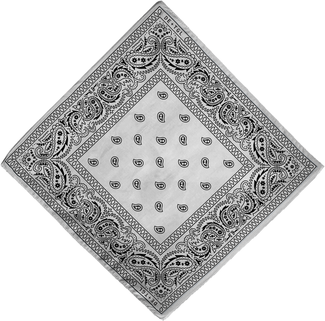 SHOP — Daniel Ellsworth & The Great Lakes