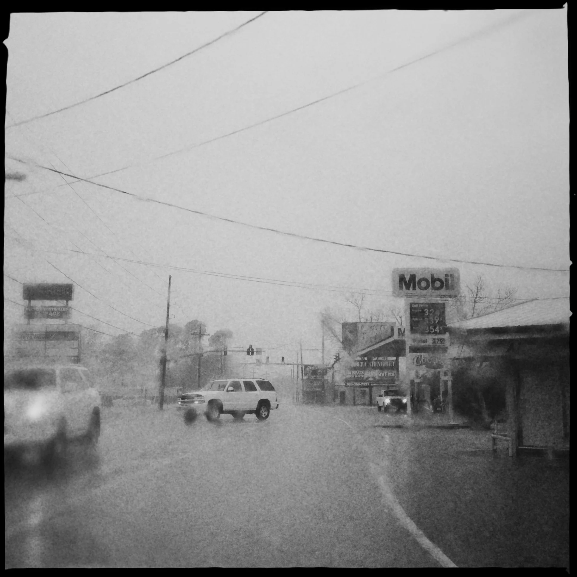 The swamp of Lousiana (Hipstamatic)