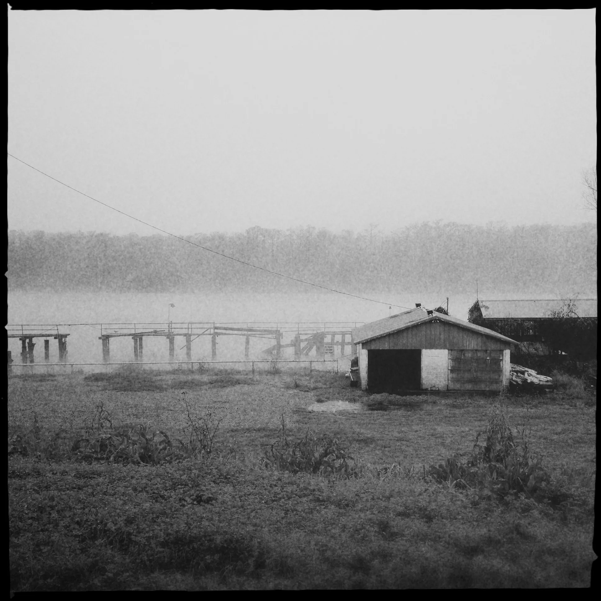 The swamp of Lousiana (Hipstamatic)