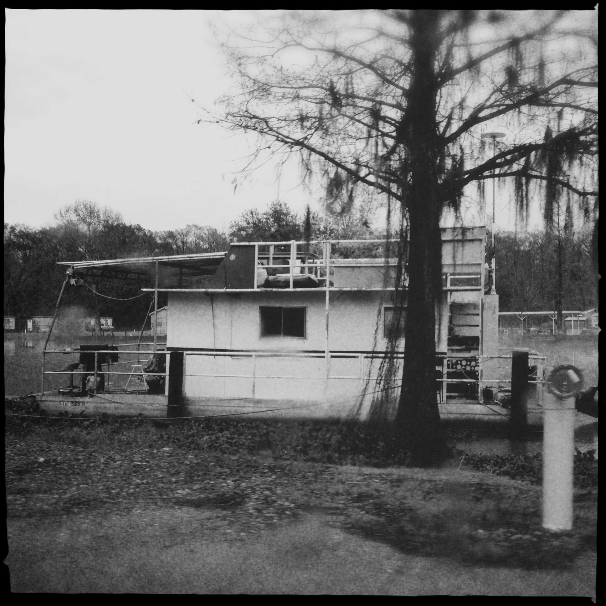 The swamp of Lousiana (Hipstamatic)