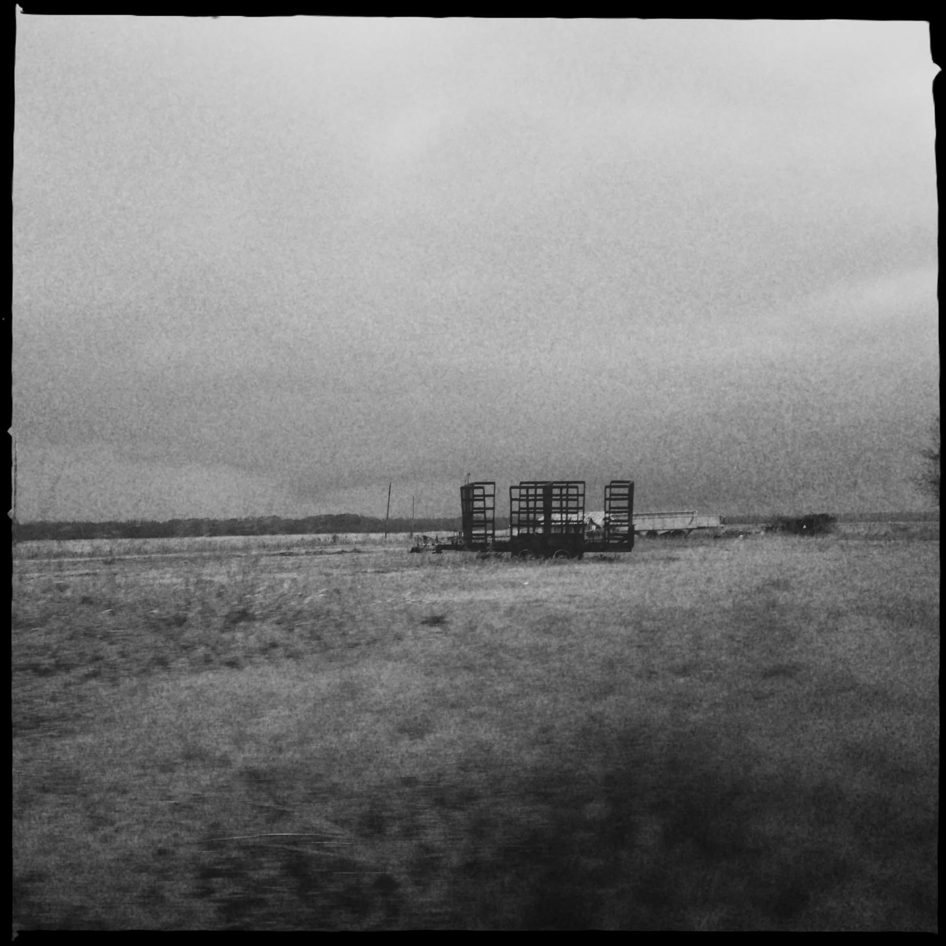 The swamp of Lousiana (Hipstamatic)