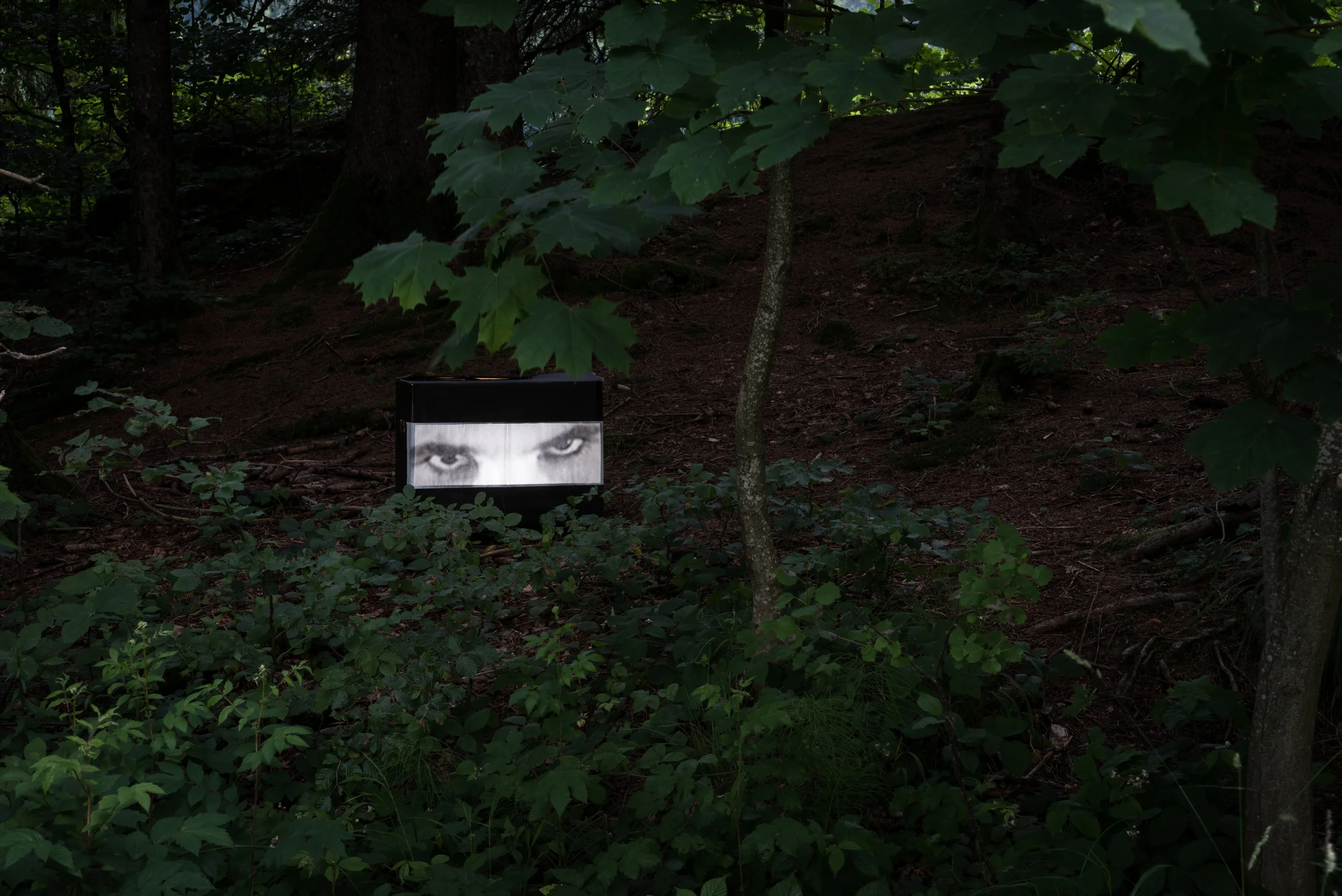 20150623-_DSC5694.jpg