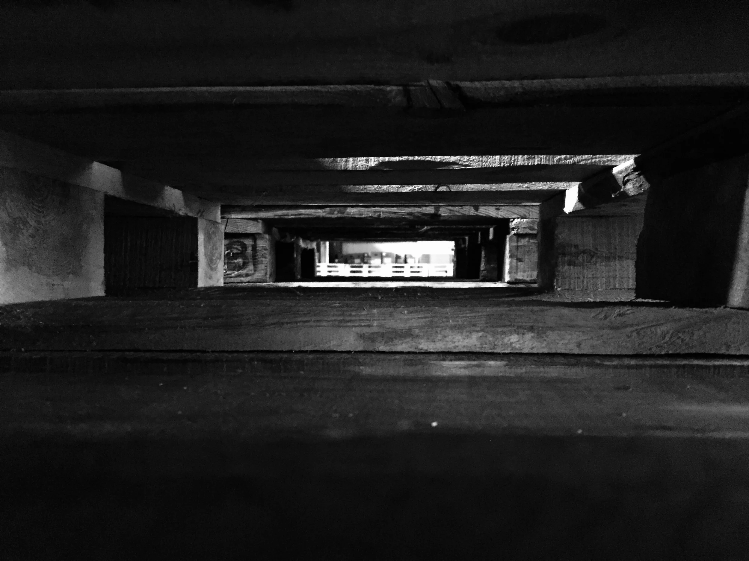 FullSizeRender-3.jpg