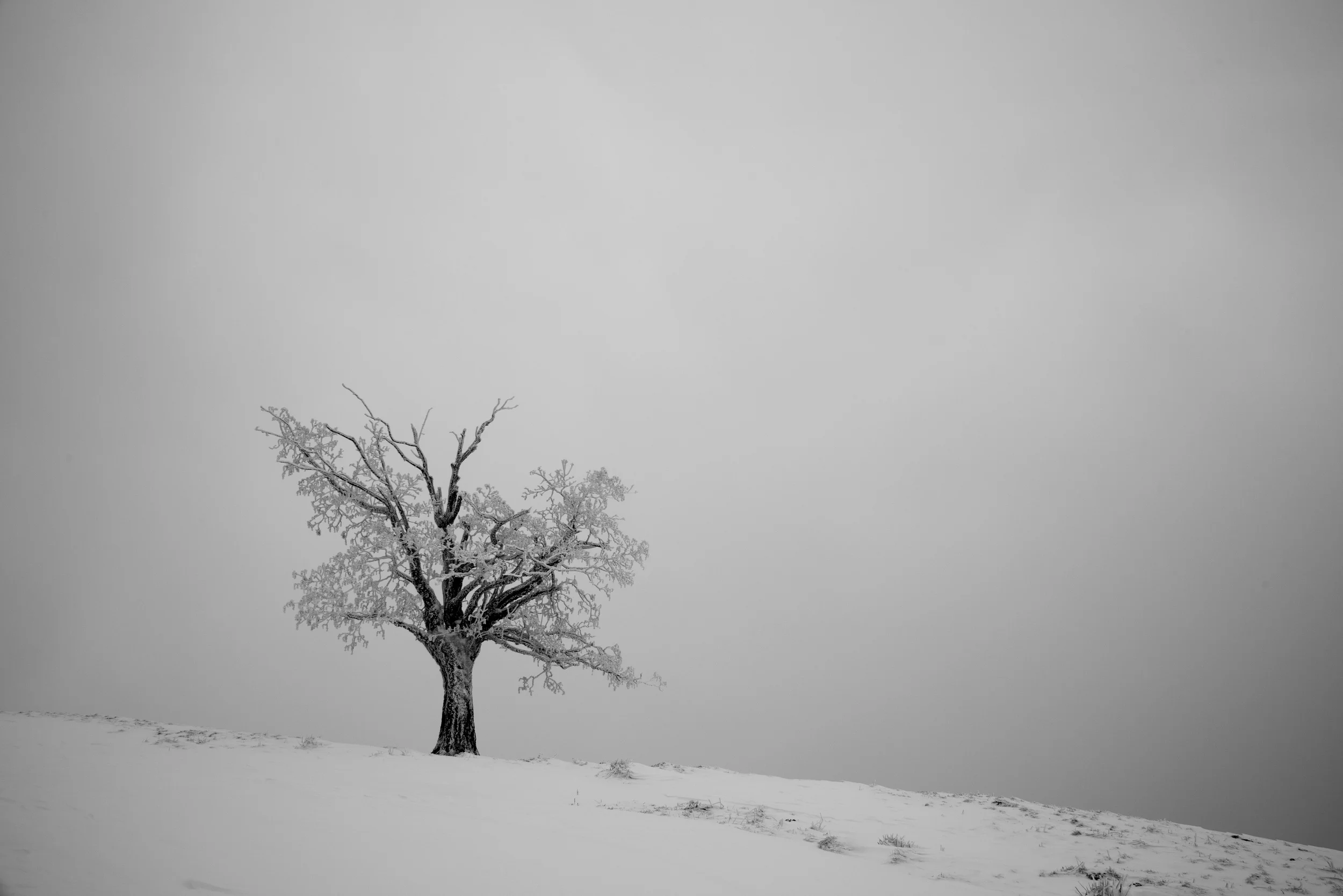 141231 DSC_0132conv.jpg