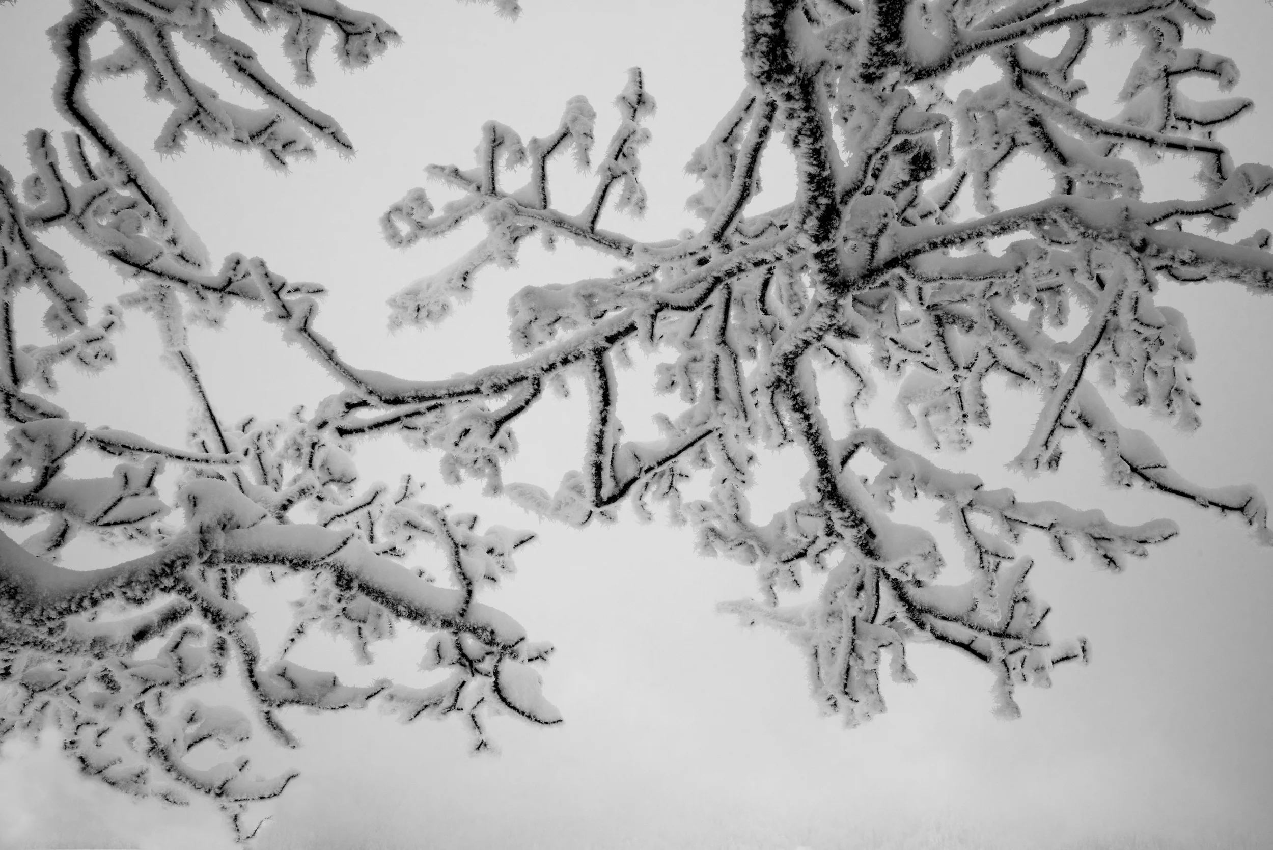 141231 DSC_0152conv korr.jpg