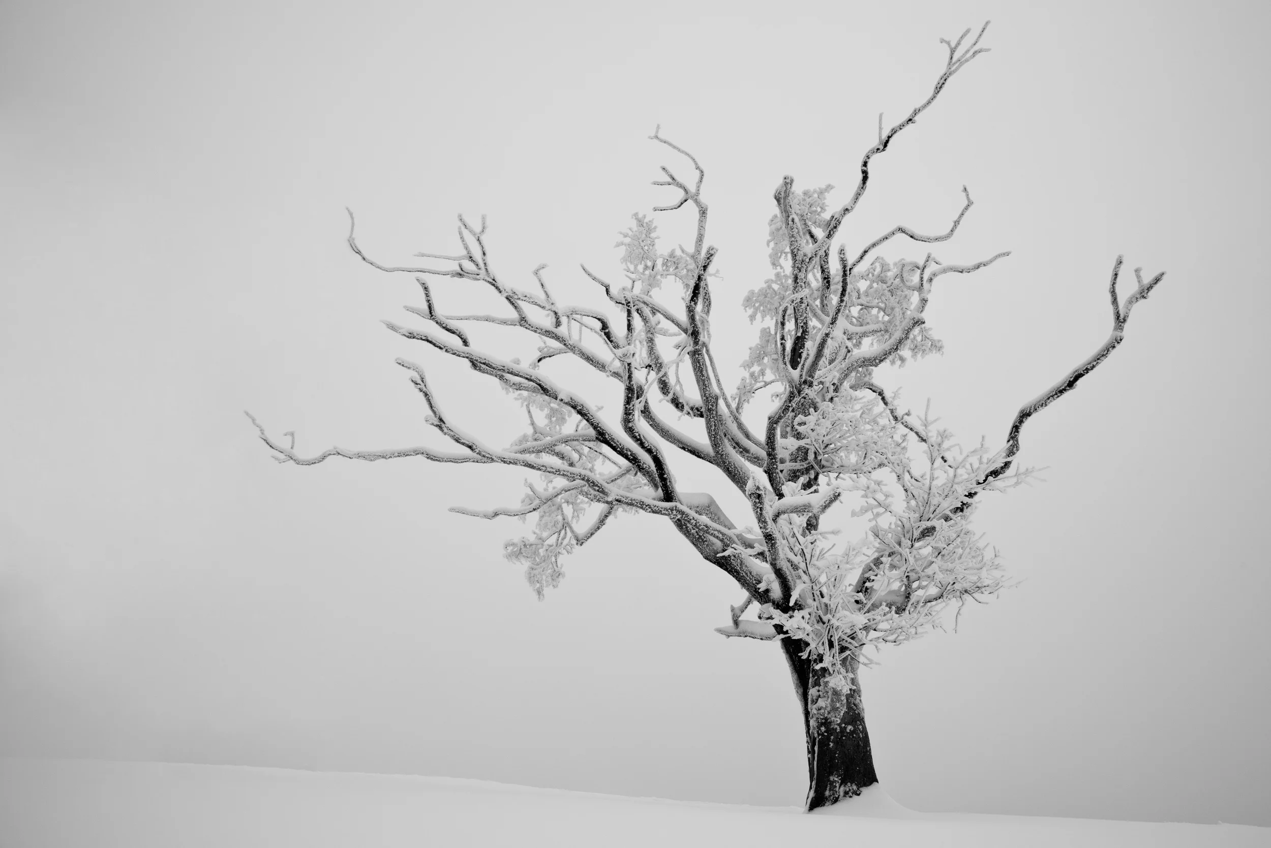 141231 DSC_0156conv korr.jpg