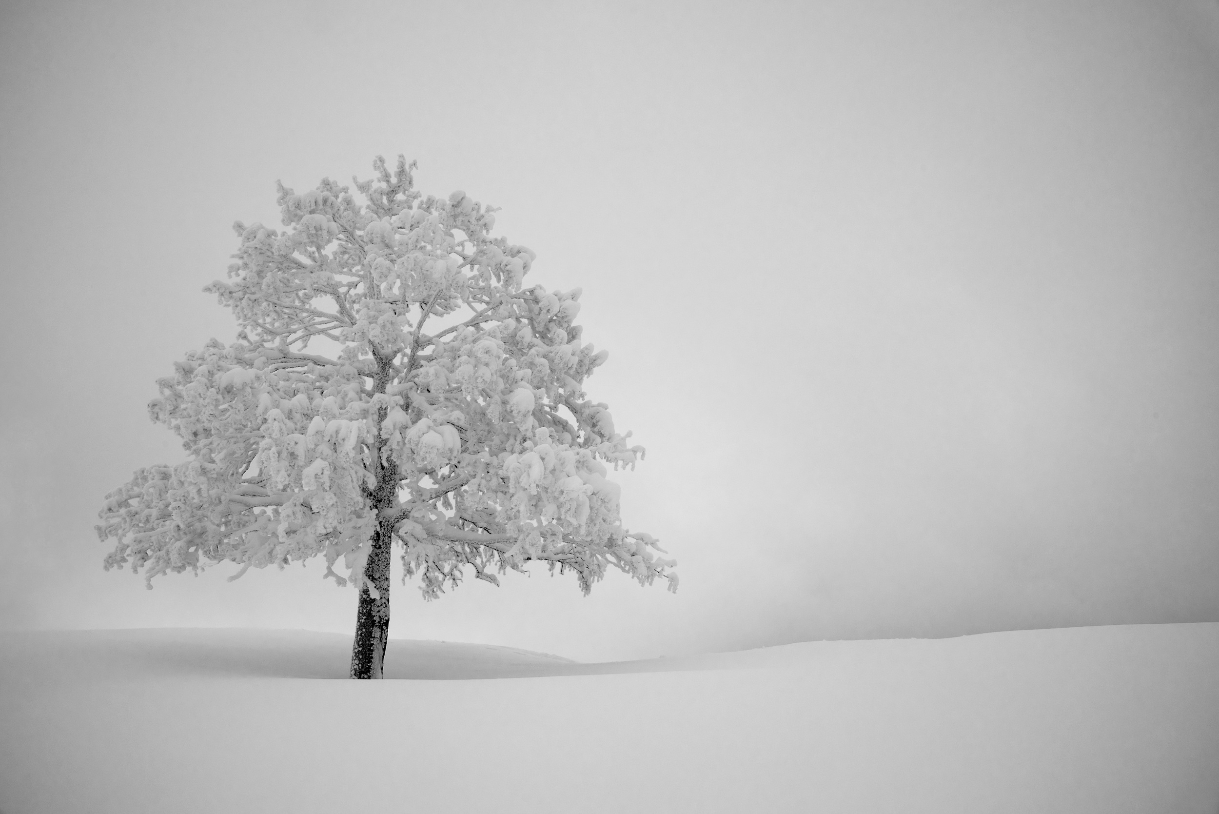 141231 DSC_0170conv korr.jpg