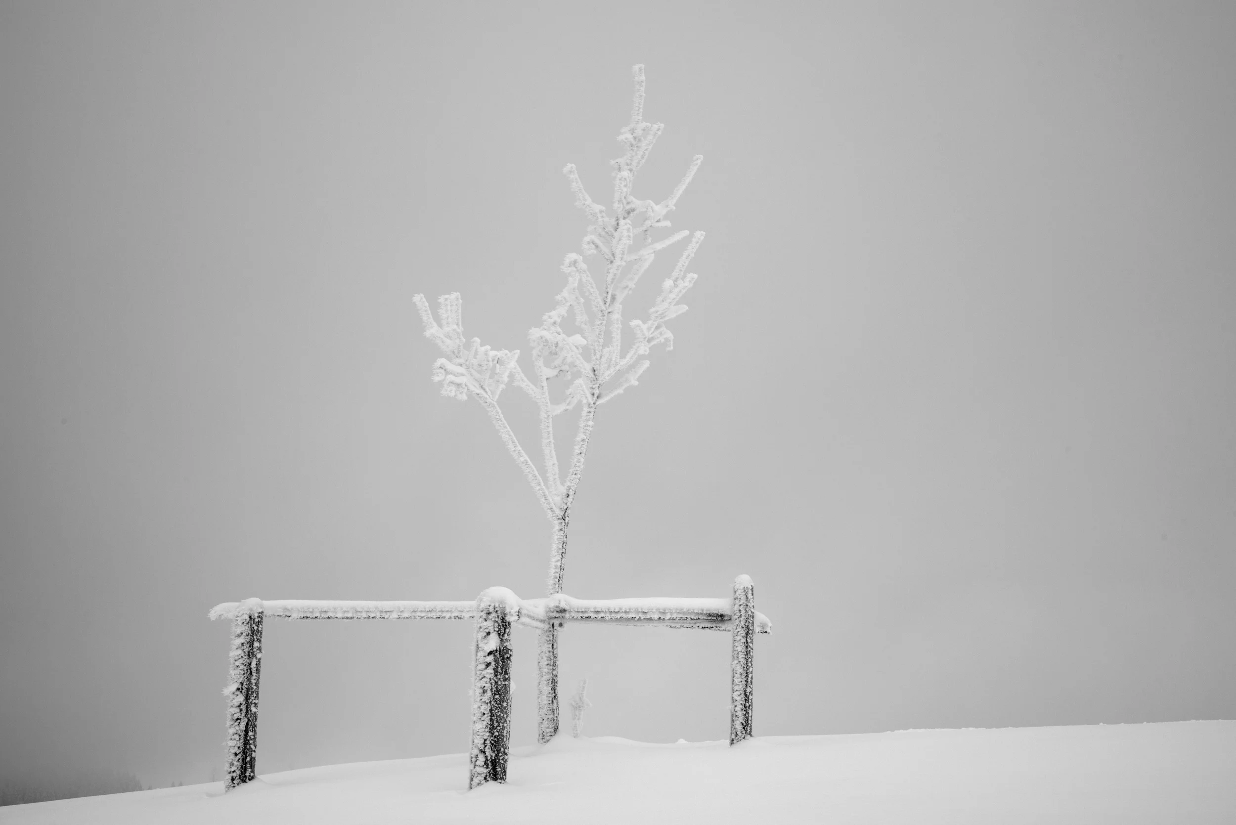 141231 DSC_0173conv.jpg