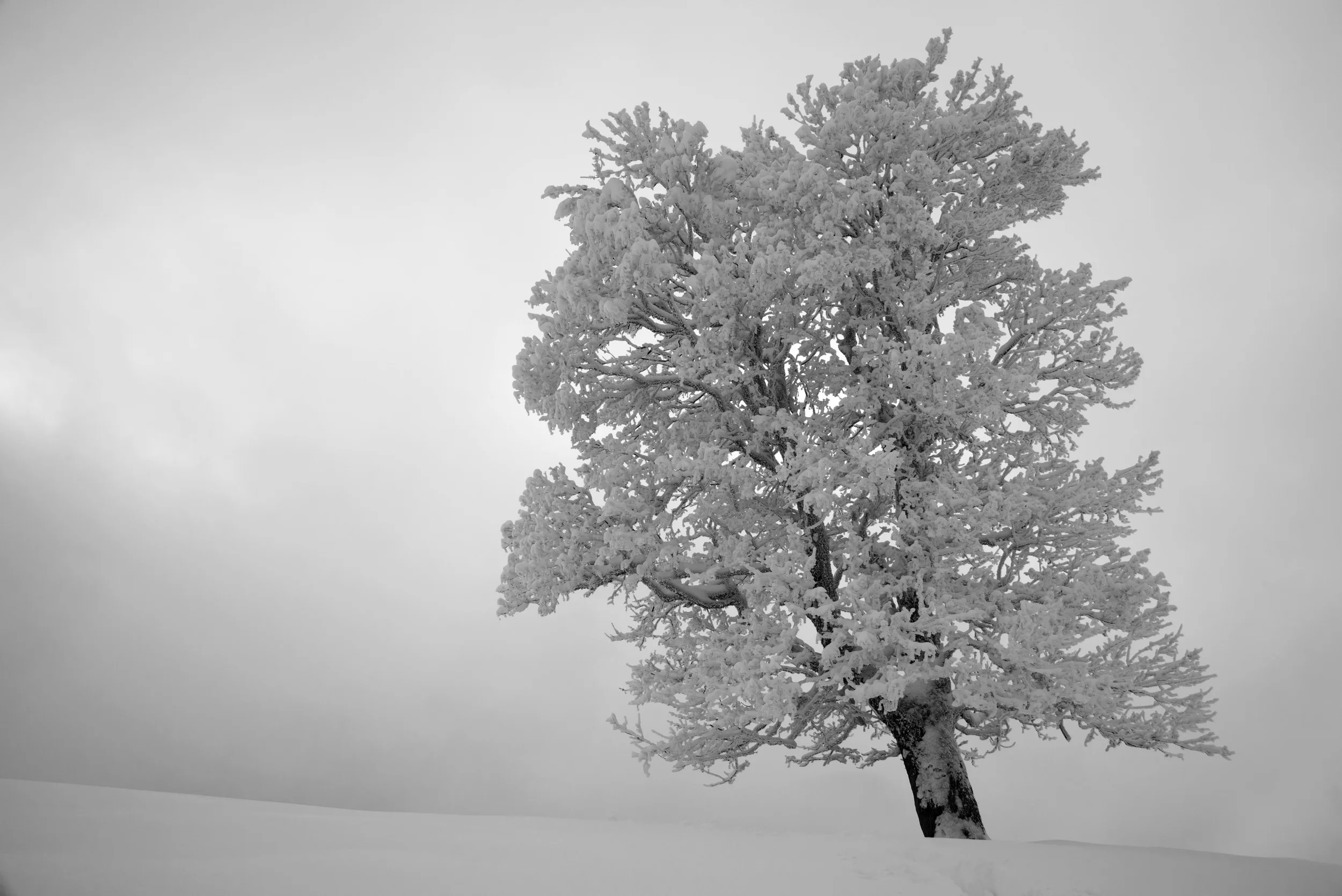 141231 DSC_0145conv korr2.jpg