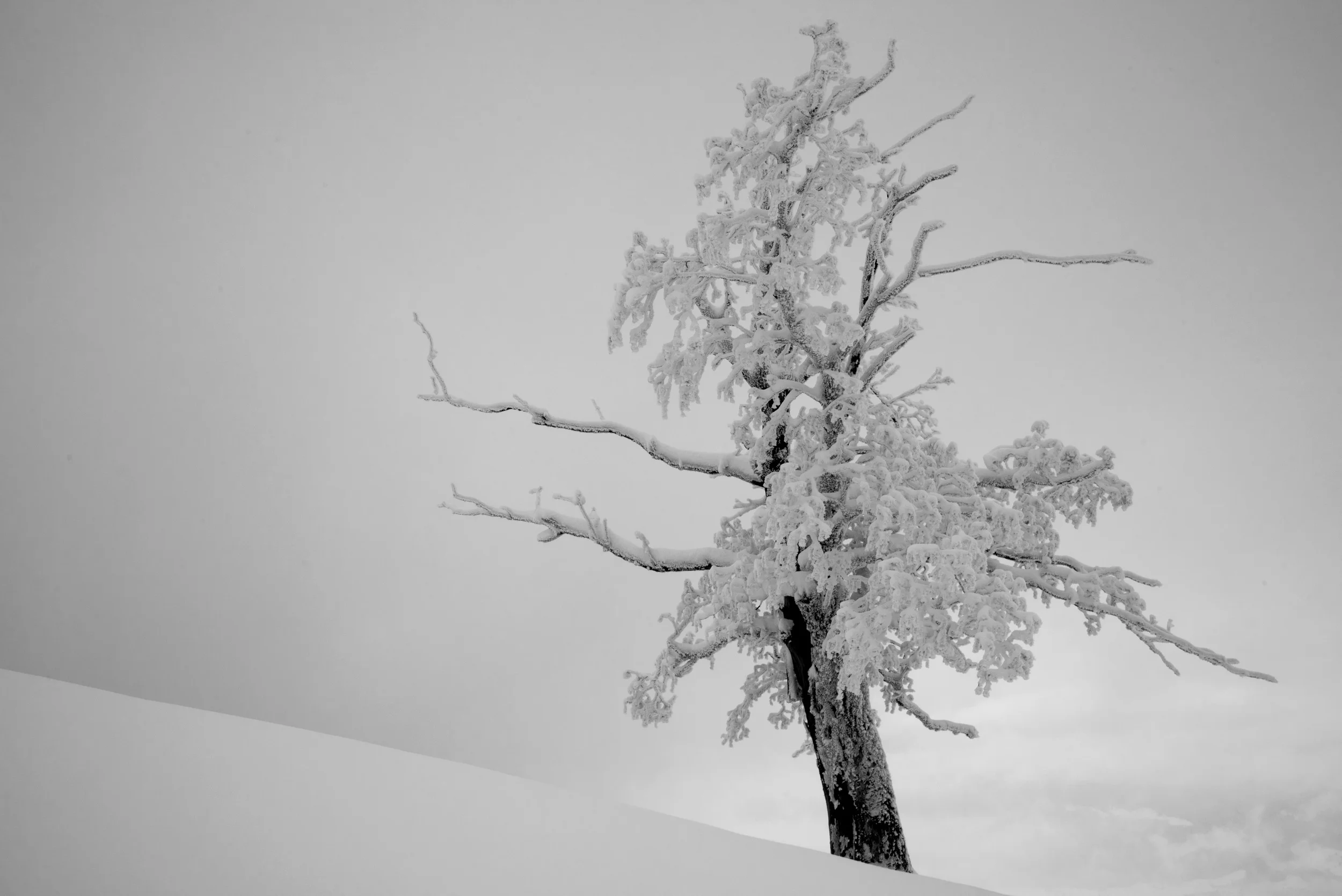 141231 DSC_0162conv korr.jpg