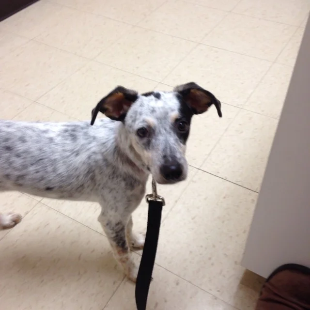2013-10-23_1382541634.jpg