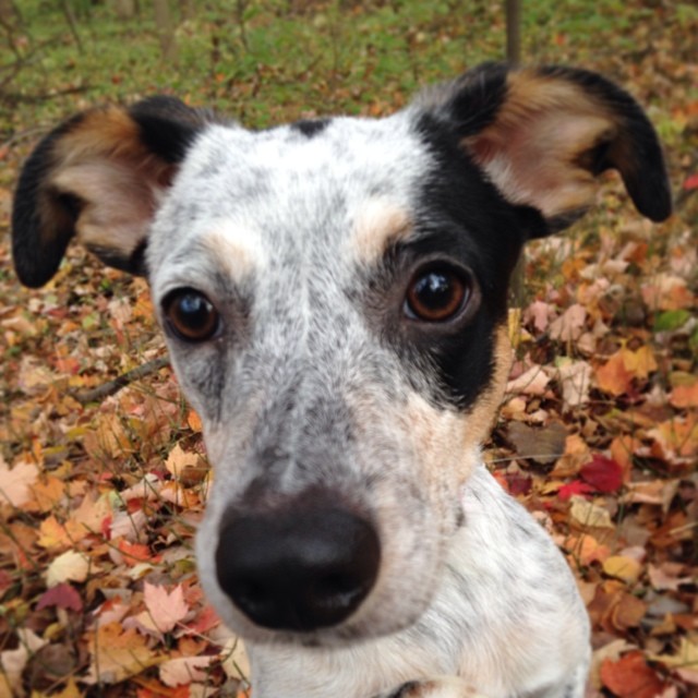 2013-10-27_1382883209.jpg