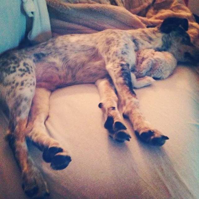 2013-12-08_1386474673.jpg