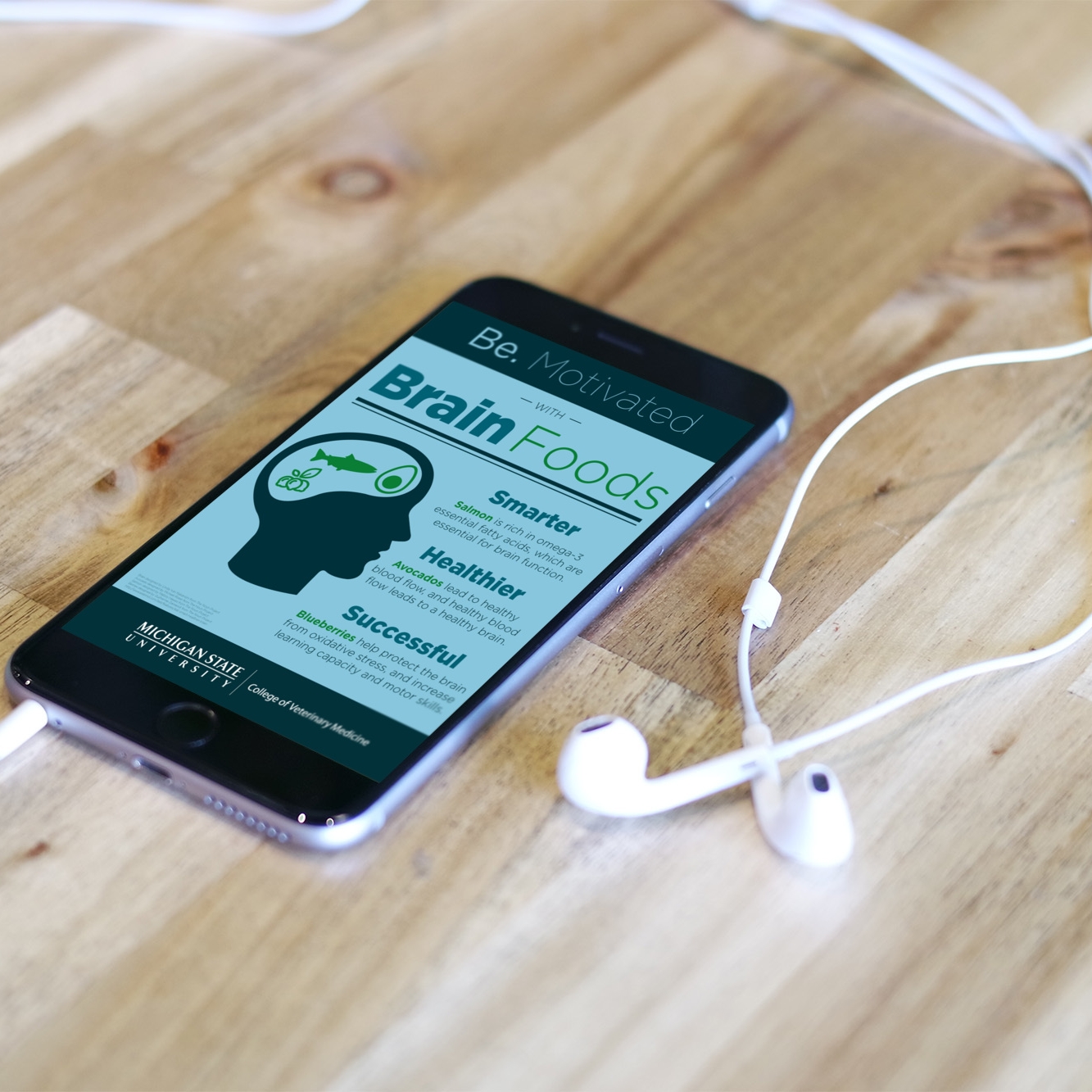 Student Services Microsite