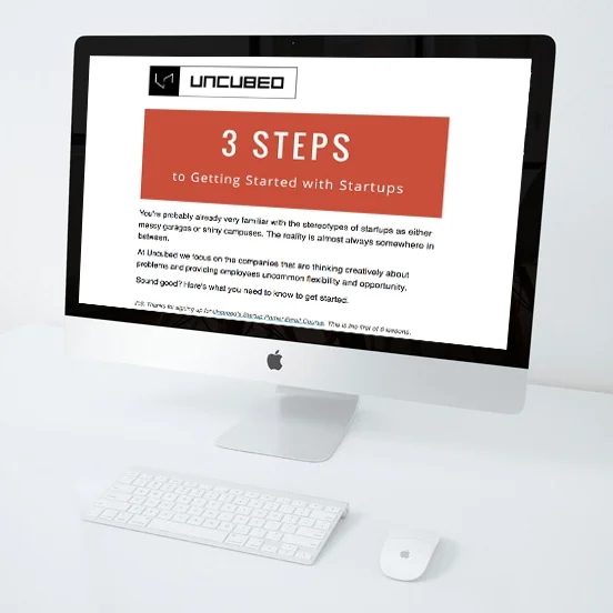 Startup Primer Email Campaign