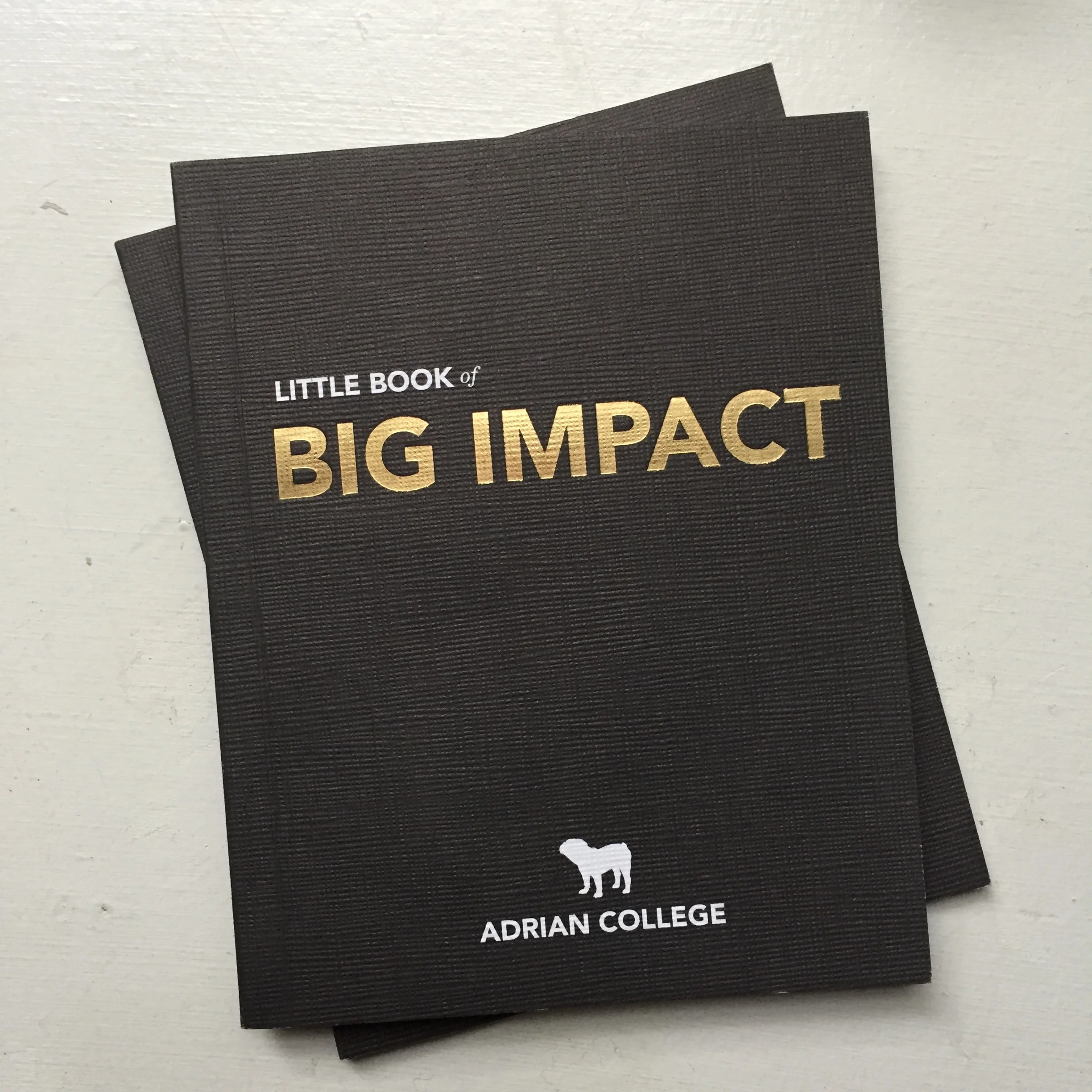 Recruiting Mini-Book