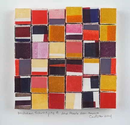 Mistaken Identity 9 (2013)