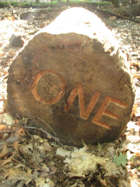 Won/One