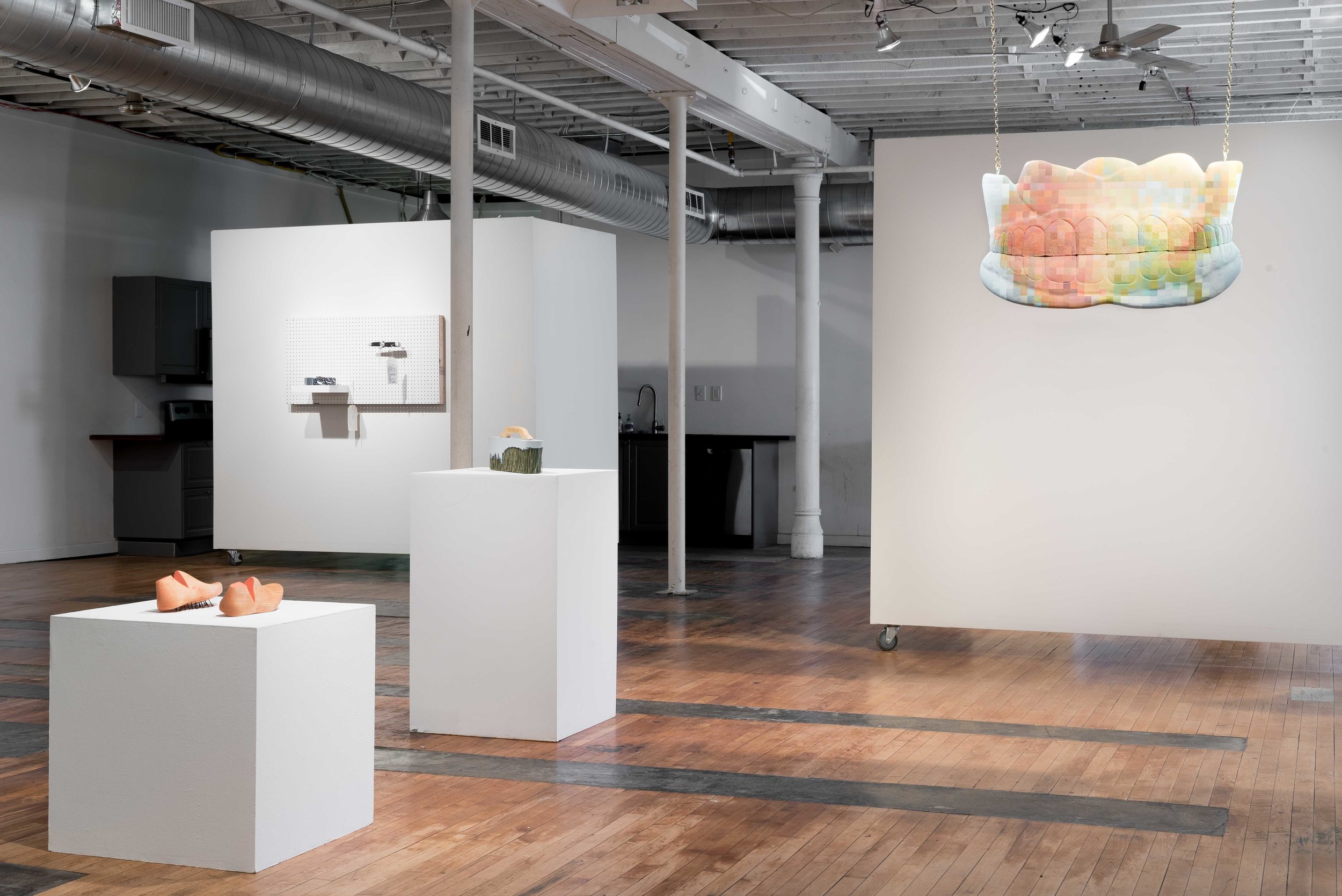 Installation view: R KAUFF AND THE ART LAB PRESENT SOME OBJECTS AND OBJECTIONS OF THIS LAND