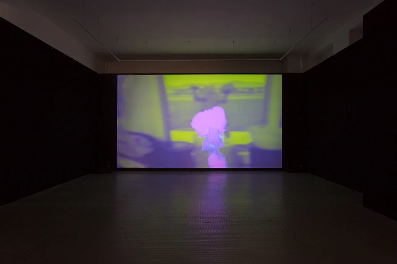 Installation view, Kangaroo Beach , 2017, video, 5:13, Exeter Phoenix, photo Jamie Woodley