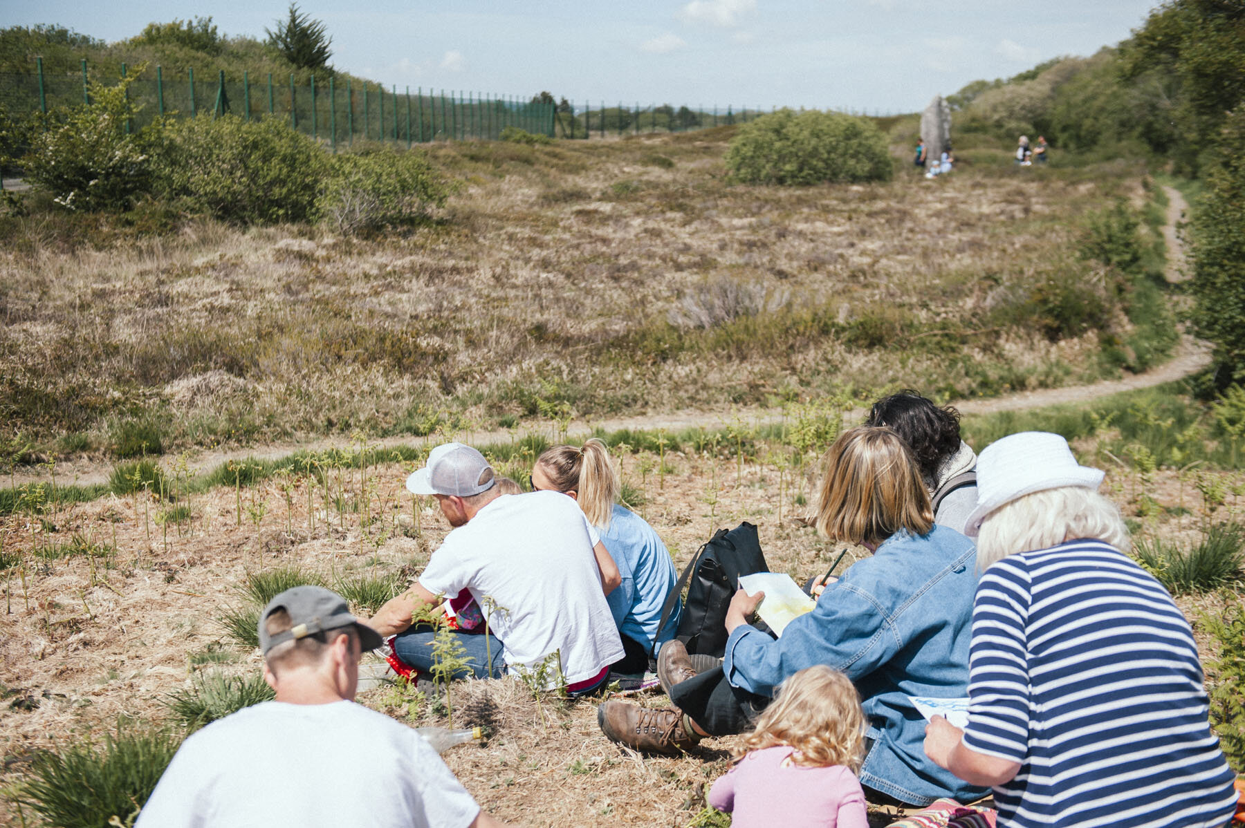  Landscape Painters Anonymous workshop,  Goonhilly Village Green,  Cornwall 