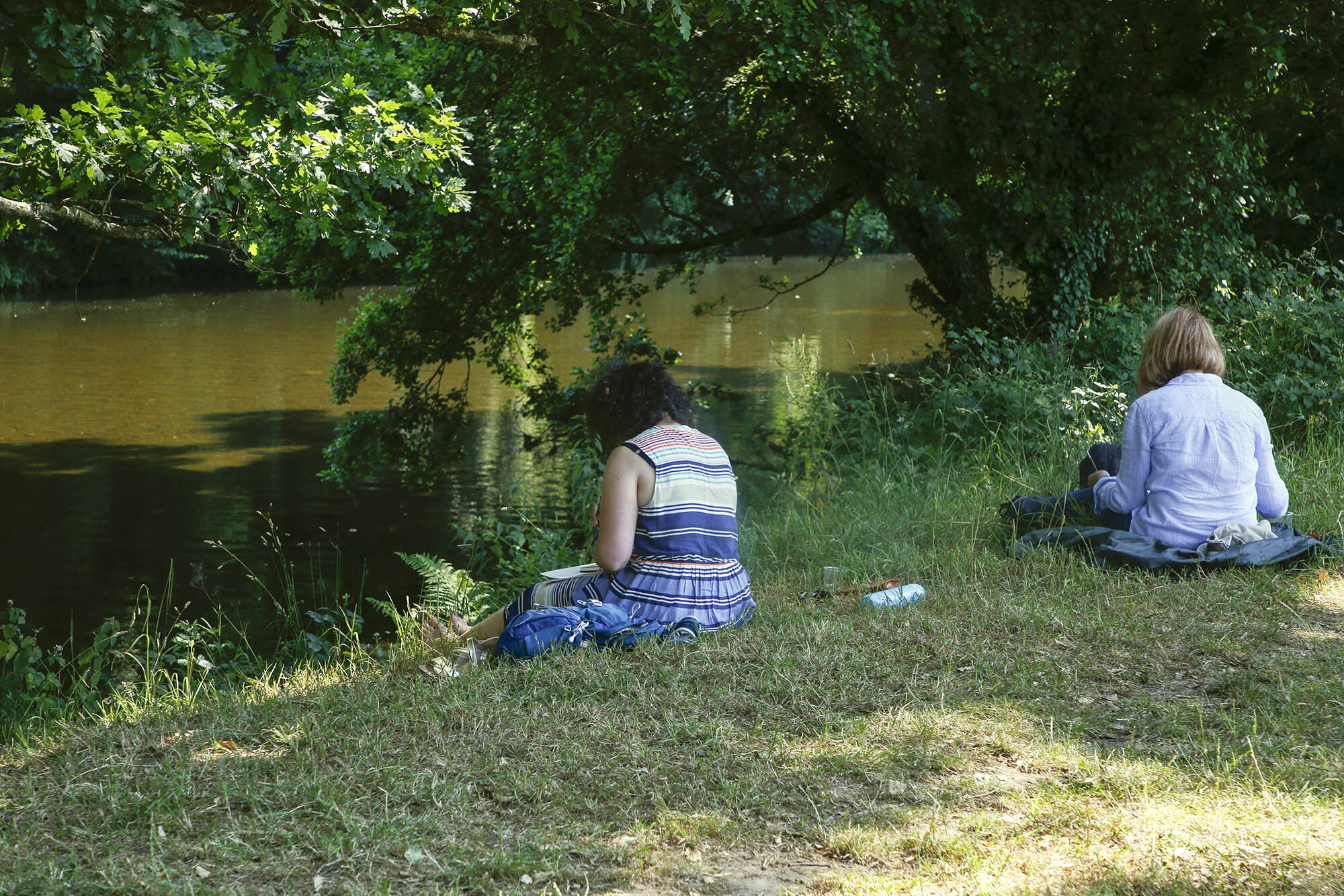  Landscape Painters Anonymous workshop,  Artist Jamboree , Dartington Estate, Devon 