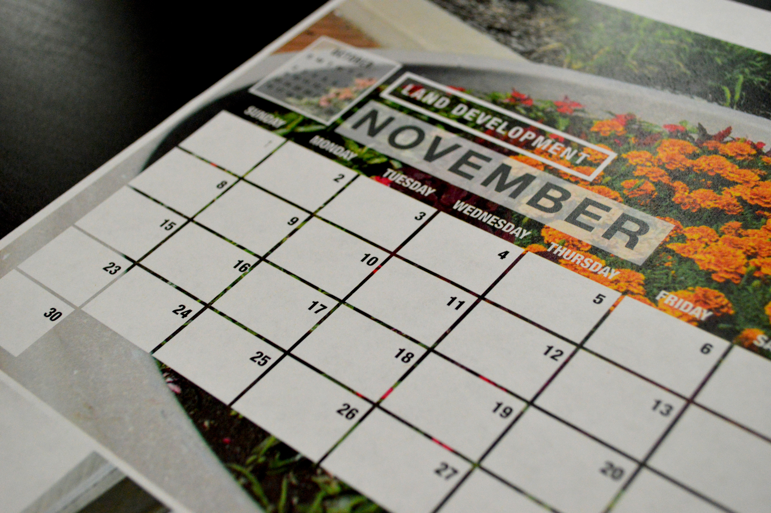 Detail of Calendar