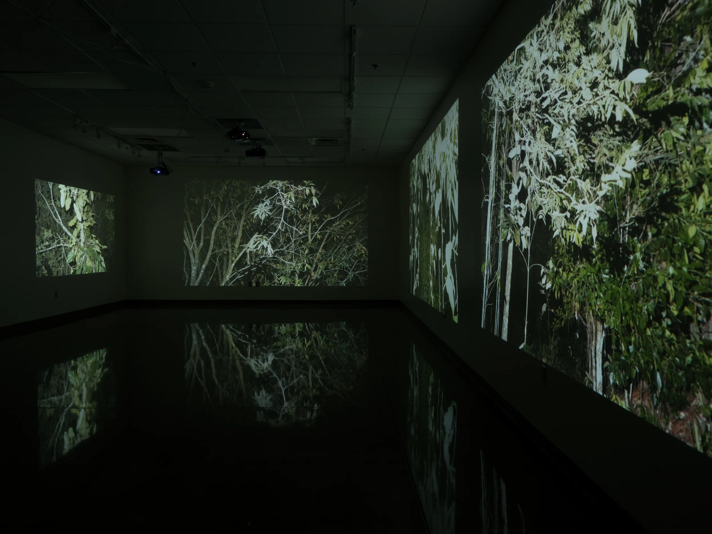   Murmullos.  Six-Channel HD Video (with audio). Dimensions Variable. 2017.   Installation View. 